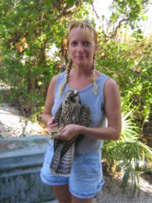 Kelly with Peregrine Falcon just before it is to be released.